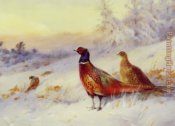Archibald Thorburn Frosty Sunrise